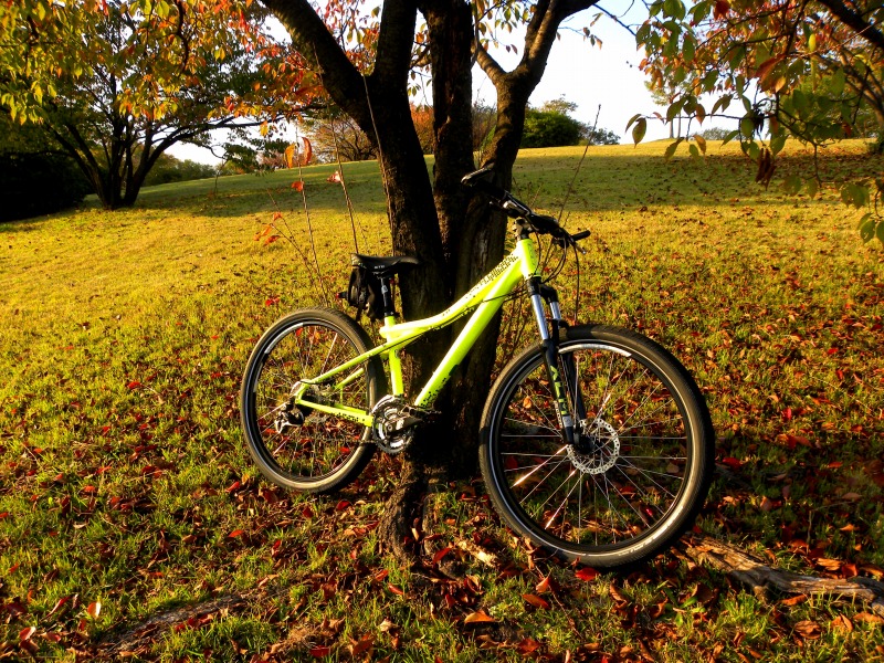 自転車板写真部活動